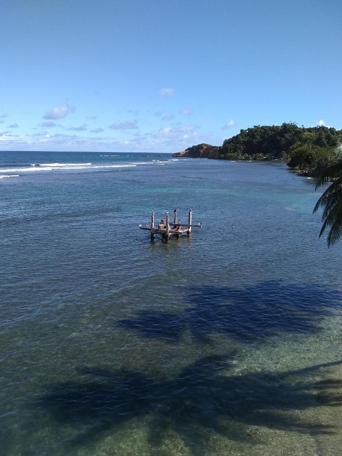 Calibishie Sandbar المظهر الخارجي الصورة